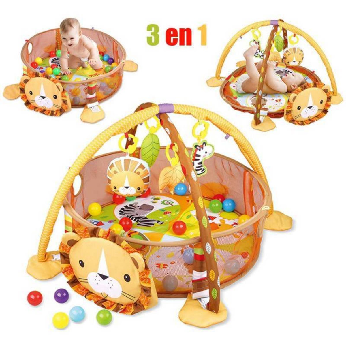 IDEAL - Gimnasio de Actividad Circular con Pelotas León