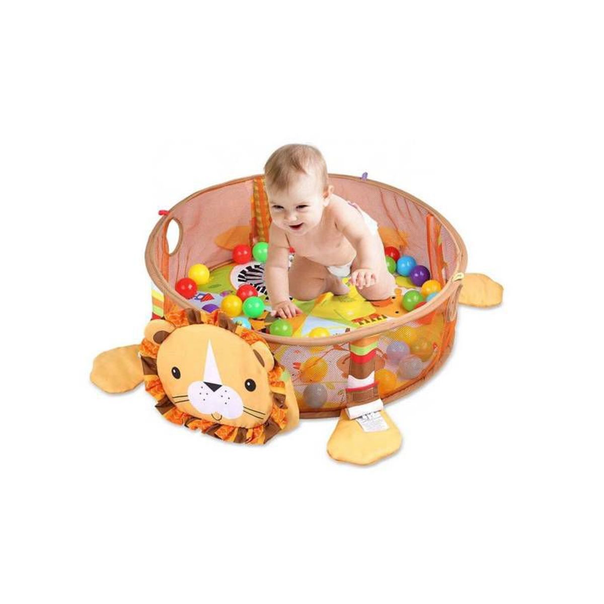 IDEAL - Gimnasio de Actividad Circular con Pelotas León