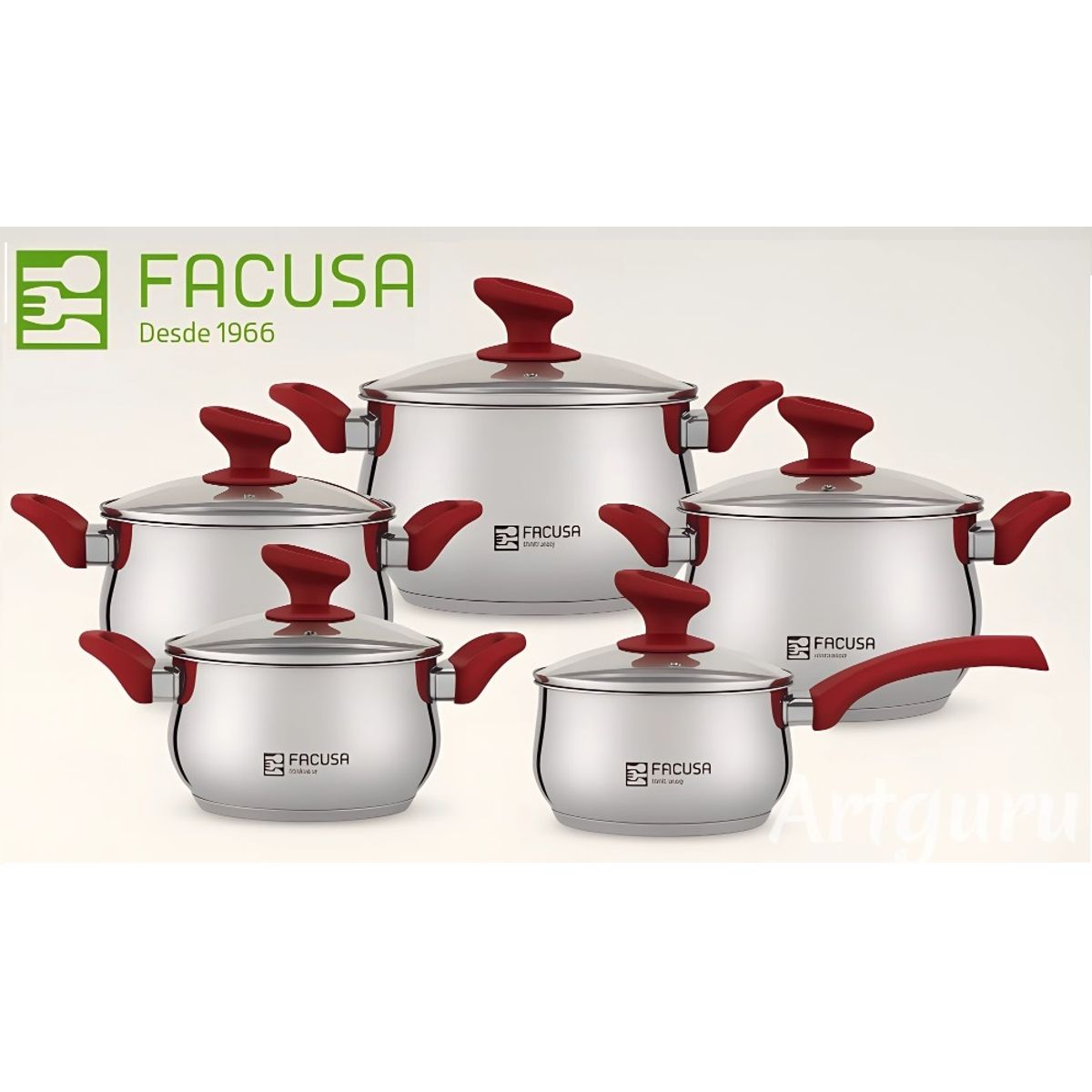 FACUSA - Juego de ollas 10 Piezas  Acero Inoxidable con tapa de vidrio Facusa