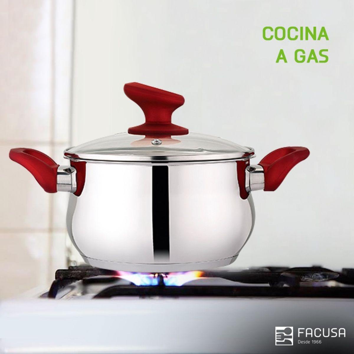 FACUSA - Juego de ollas 10 Piezas  Acero Inoxidable con tapa de vidrio Facusa