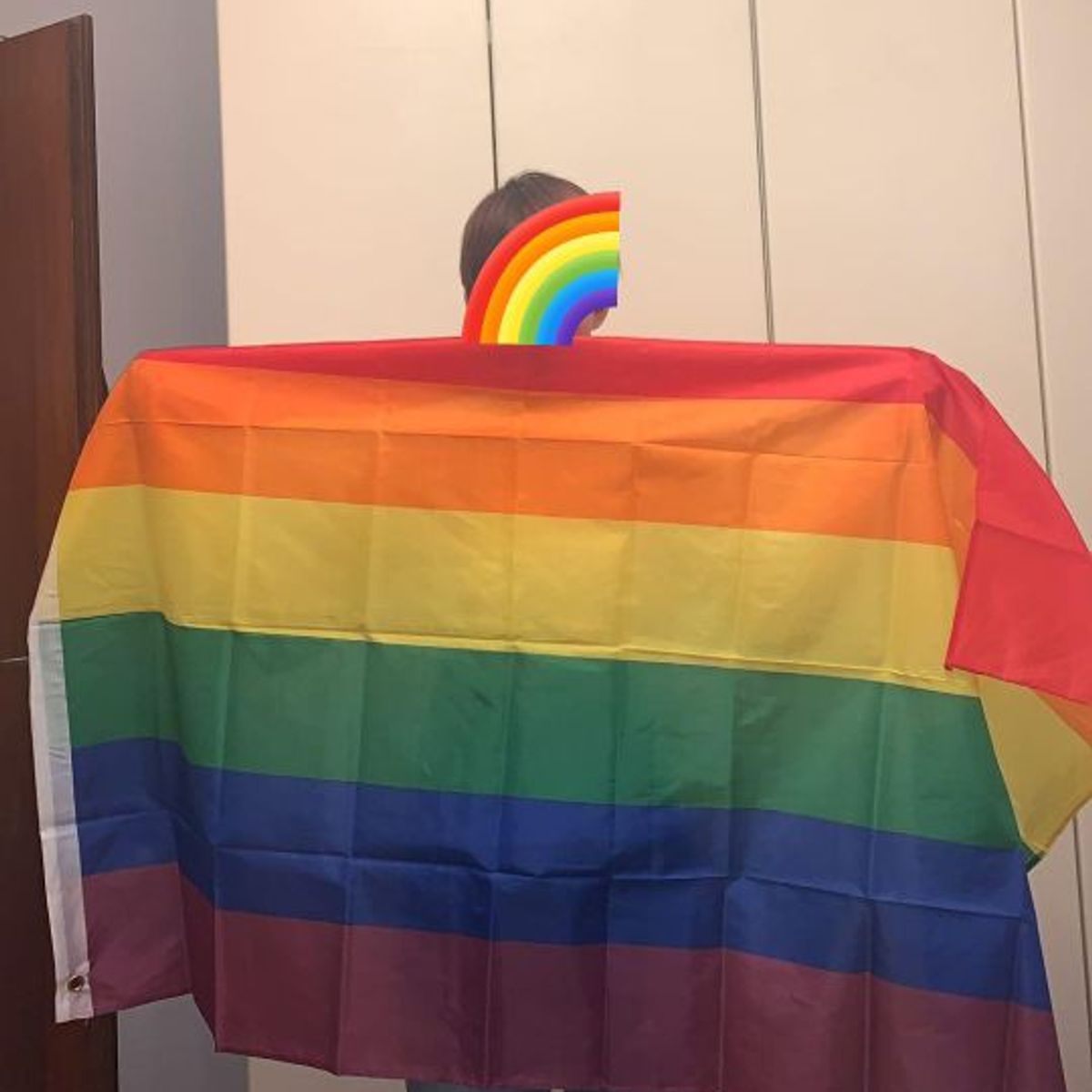 GENERICO - Bandera LG-TB arco iris 90cm X 150cm Calidad A1