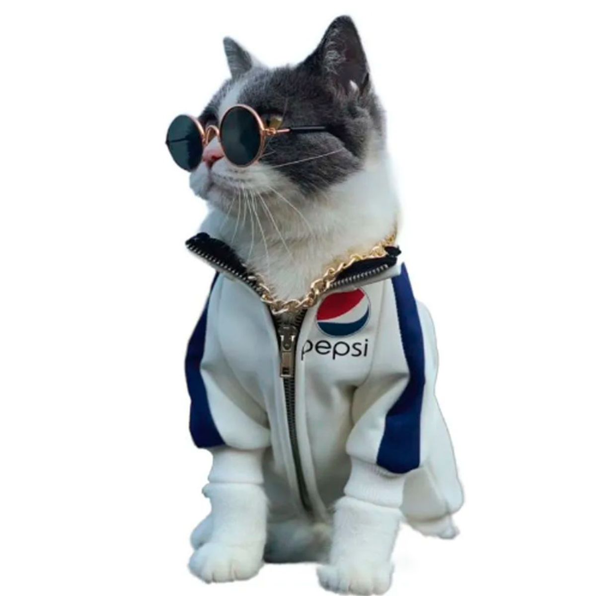 IMPORTADO MC - Lentes para Gatos y Perros - Negro