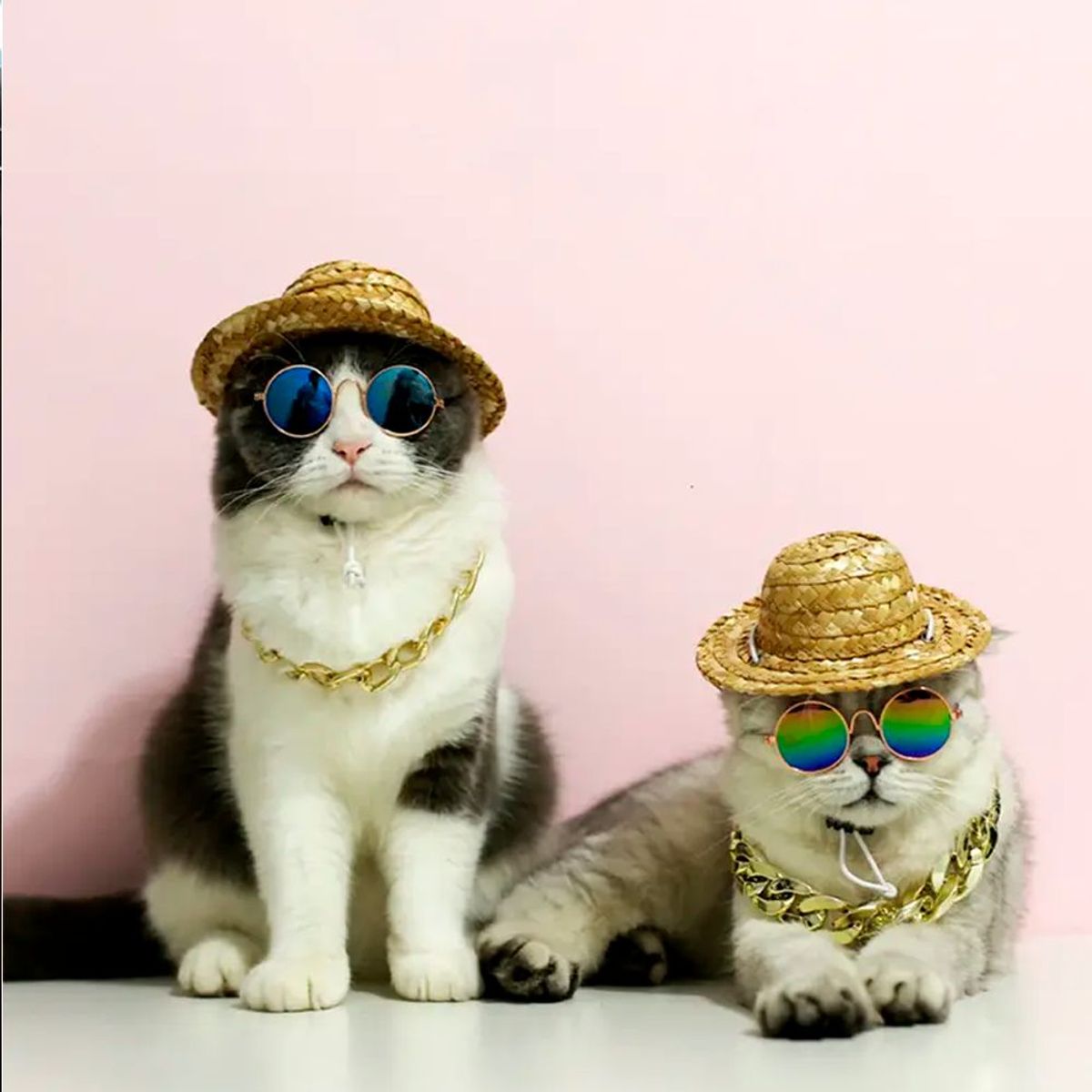 IMPORTADO MC - Lentes para Gatos y Perros - Blue