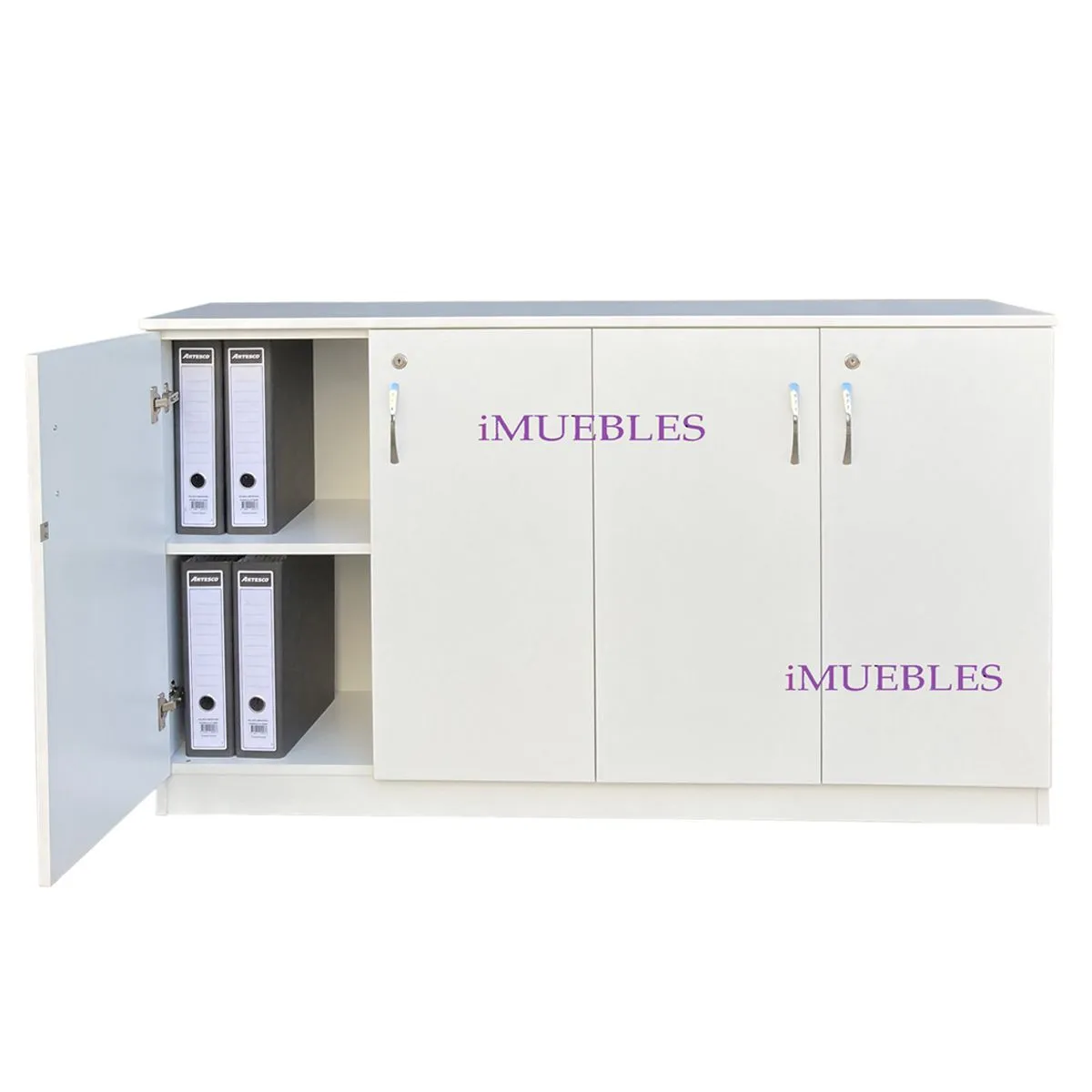 TEMEL - Credenza Mueble de Oficina Organizador de Archivos