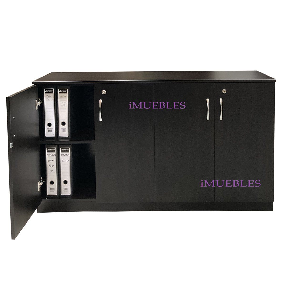 TEMEL - Credenza Mueble de Oficina Organizador de Archivos