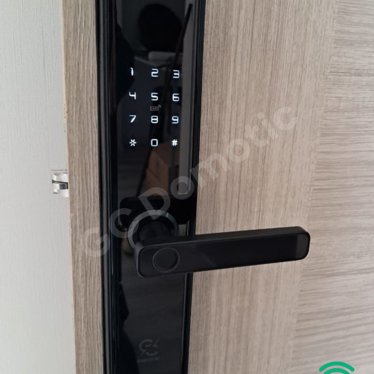 GENERICO - CERRADURA SMART CON HUELLA DIGITAL PARA EXTERIORES GRANDE COLOR NEGRO