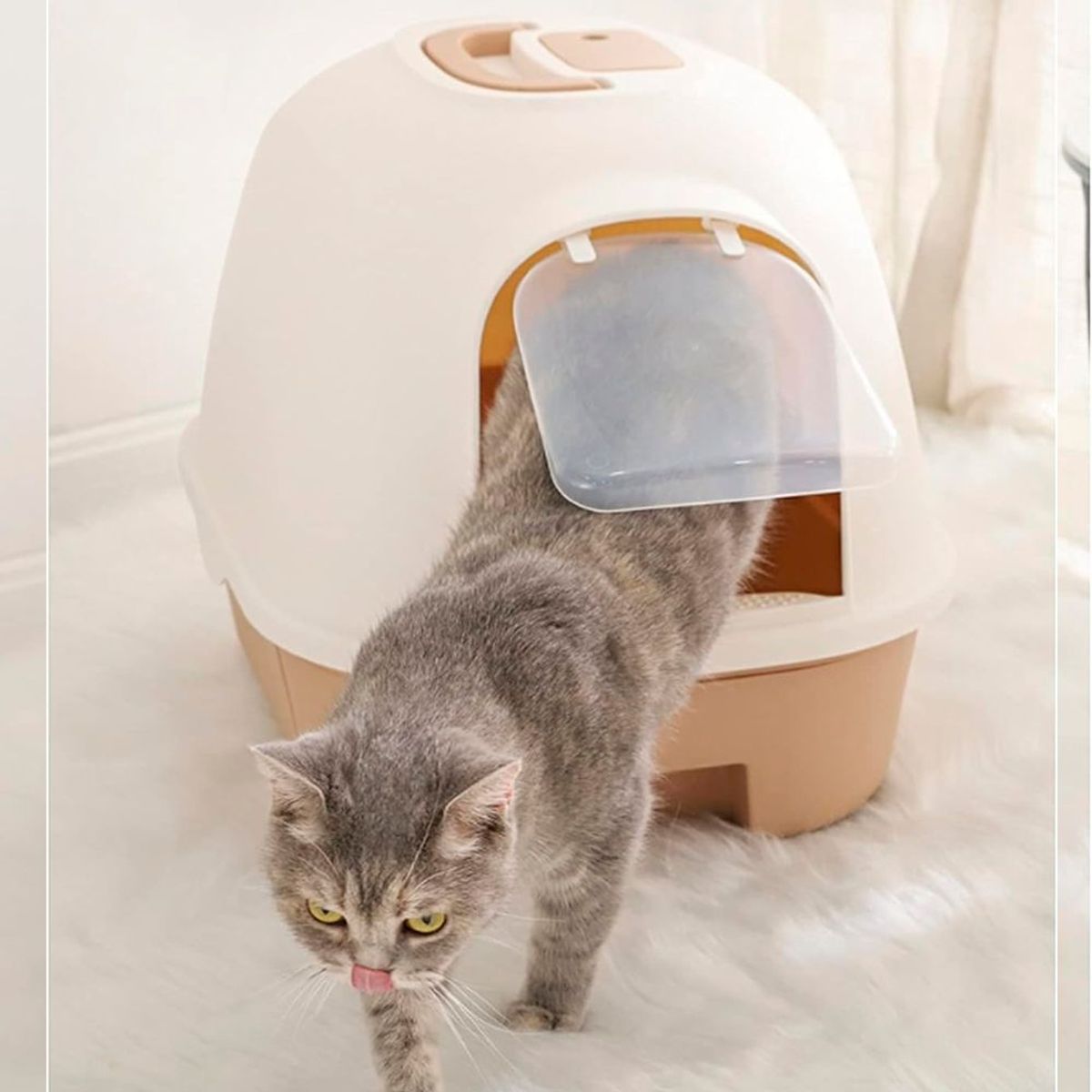 IMPORTADO MC - Arenero para Gatos - Marrón Claro