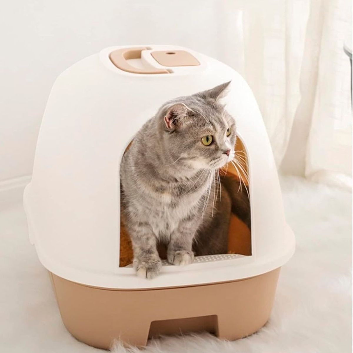 IMPORTADO MC - Arenero para Gatos - Marrón Claro