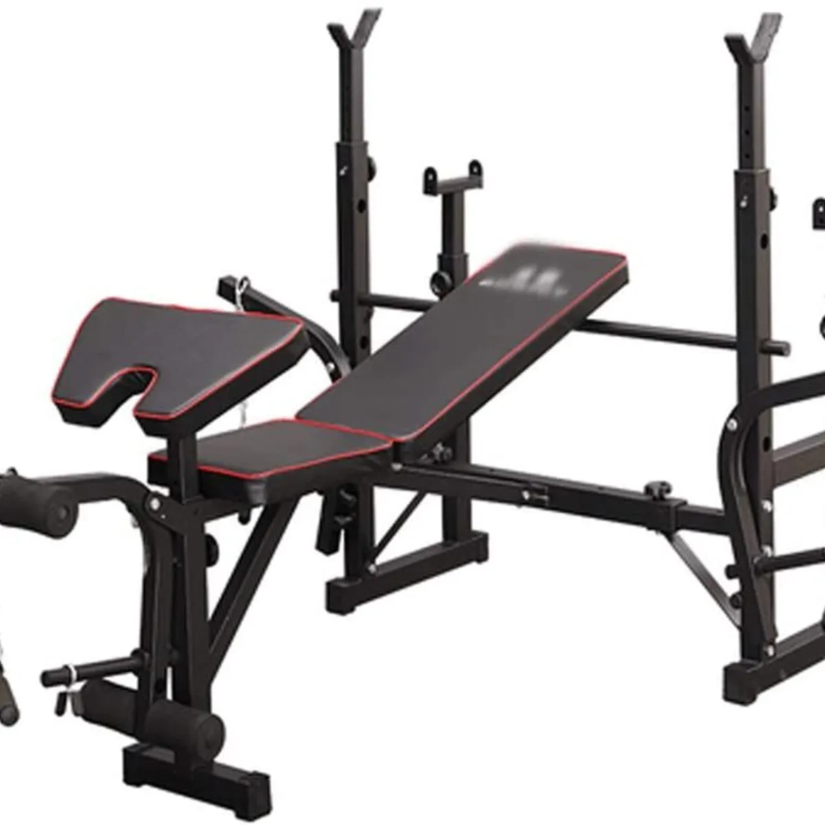 ALPHA GYM - Banco para pesas de doble rack y predicador Mini gym