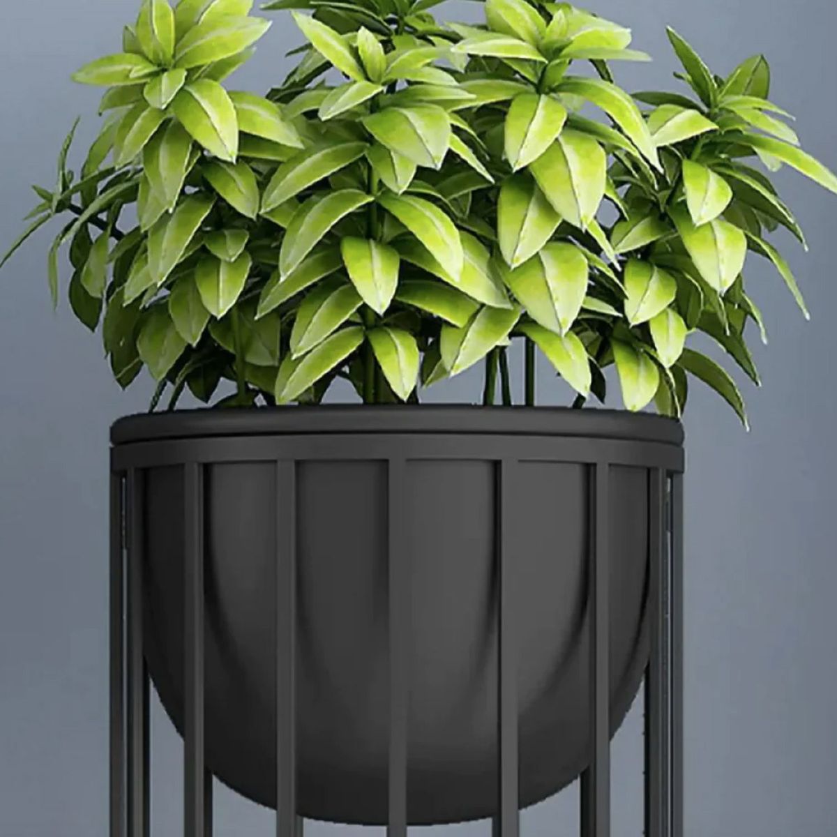 VENTITAS HOME - Maceta Kana Ventitas Home Negro