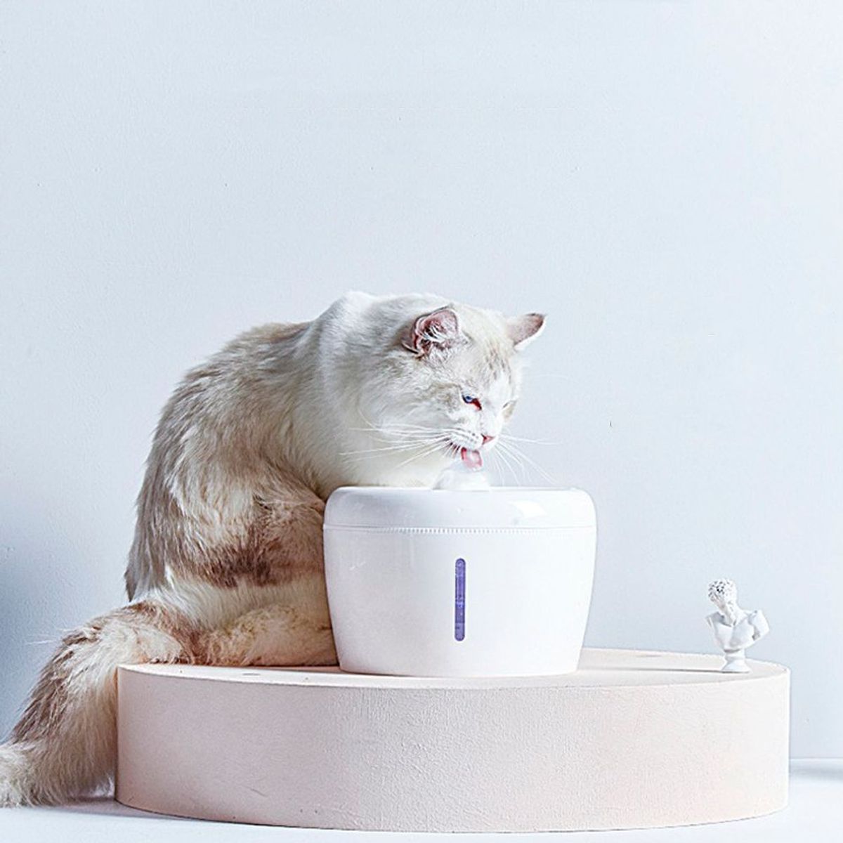 IMPORTADO MC - Fuente de Agua Bebedero Automatico para Gatos