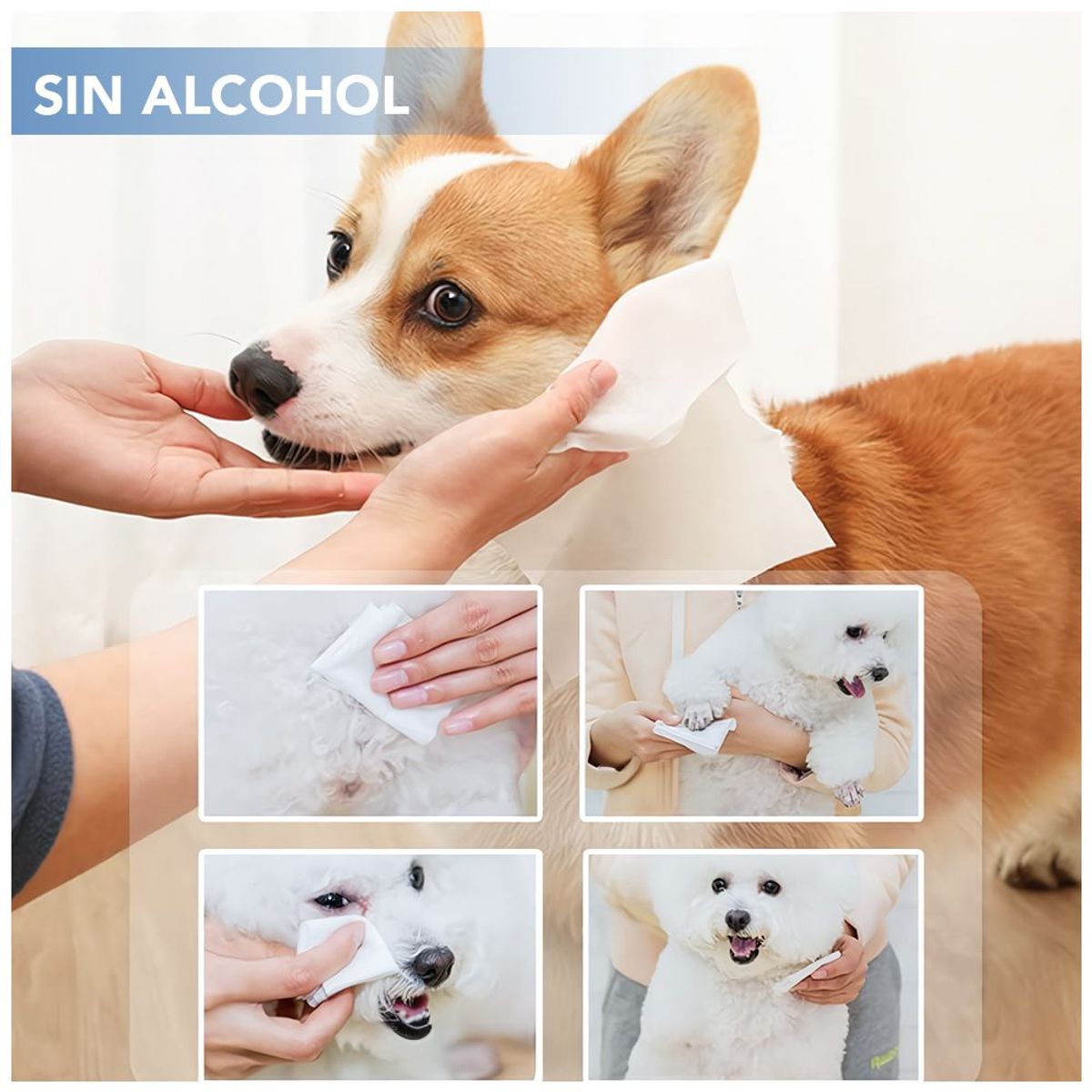 KELLER - Colchoneta CamaD56 Palta Y Toallitas Húmedas sin Alcohol JM1