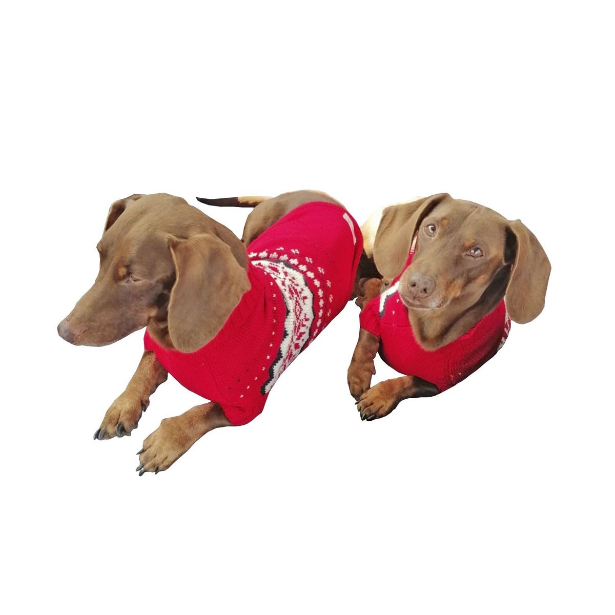 PRETTY CAN - Chompa de algodón para perros - Talla 3 - Rojo