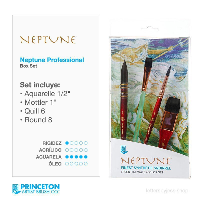 GENERICO - Princeton - BOX PROFESIONAL NEPTUNE - 4 PIEZAS