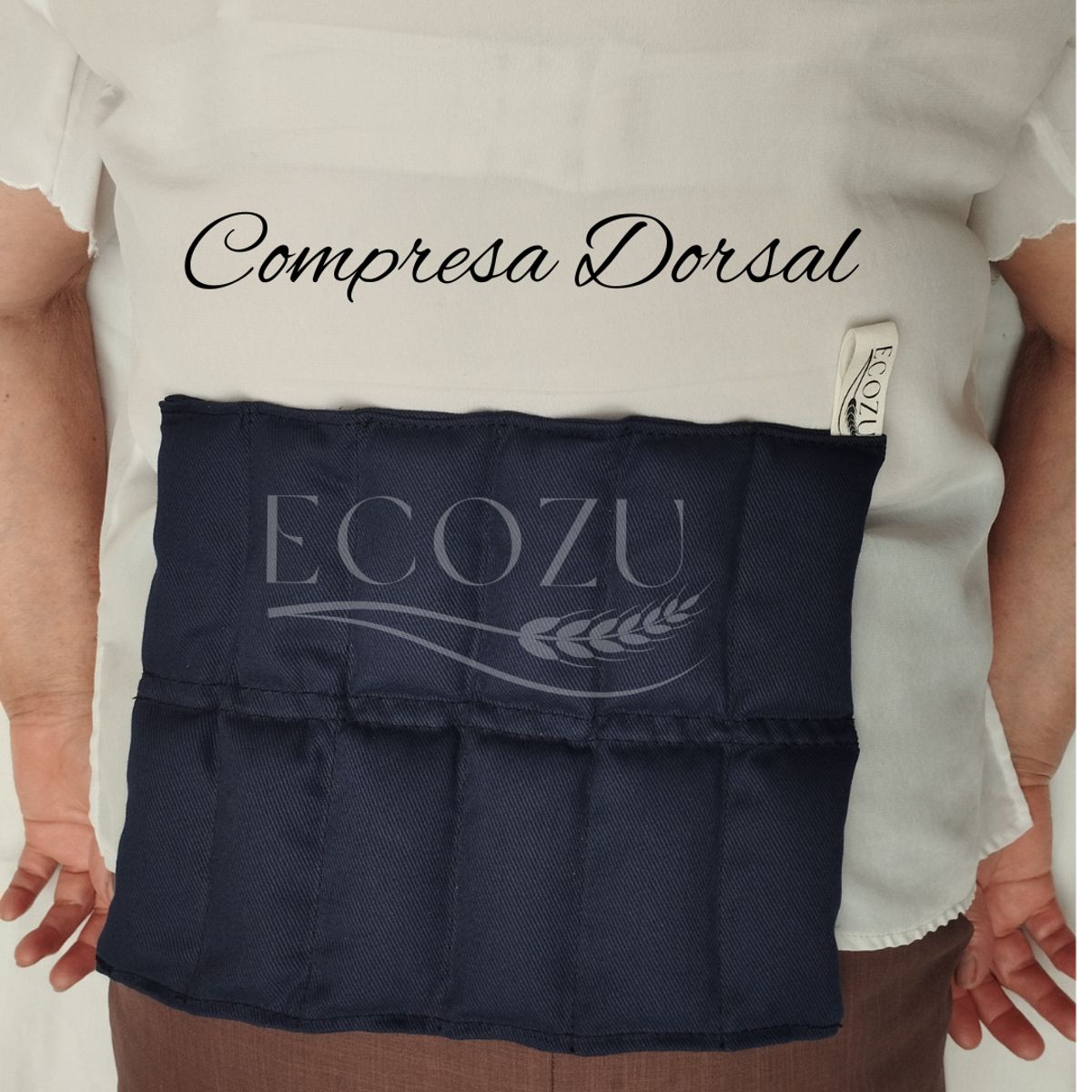 GENERICO - Compresas de Semilla Dorsal Azul