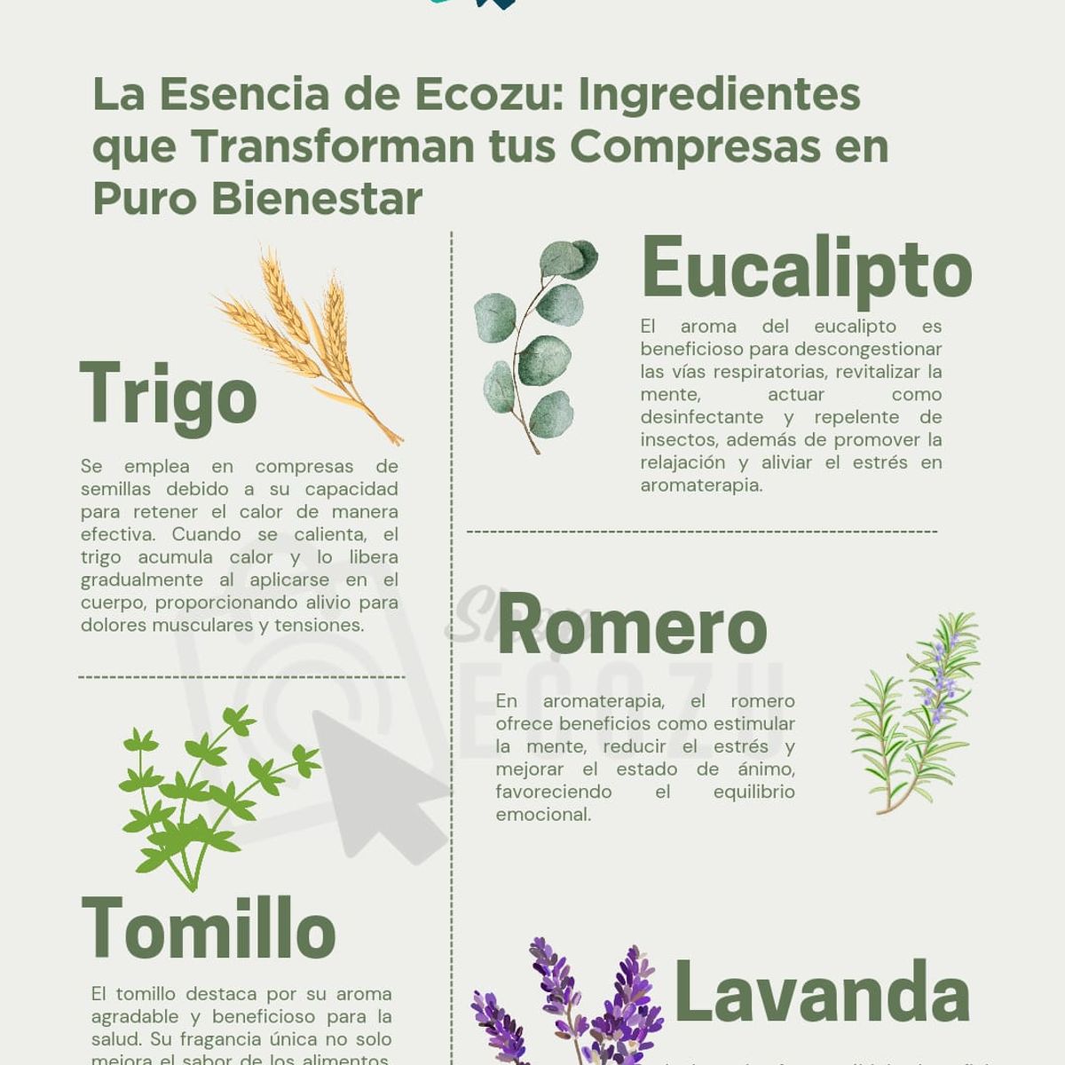 GENERICO - Compresas de Semilla Dorsal Azulino