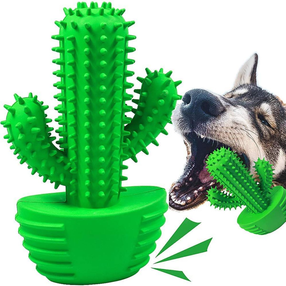 GENERICO - Juguete Masticable para perros Cactus Verde
