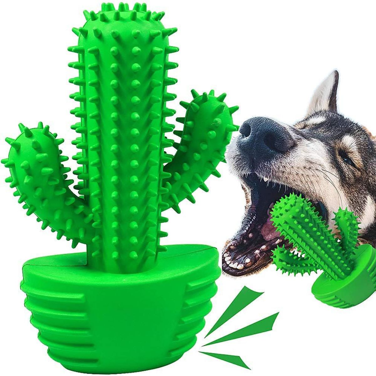 GENERICO - Juguete Masticable para perros Cactus Verde