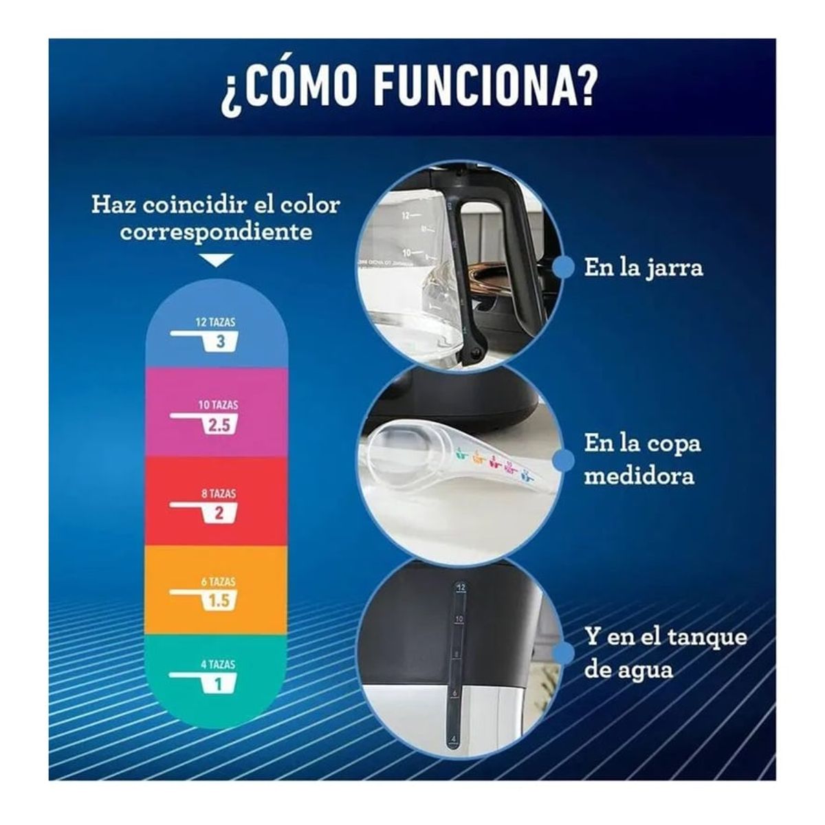 OSTER - Cafetera Oster de 12 tazas BVSTRF100