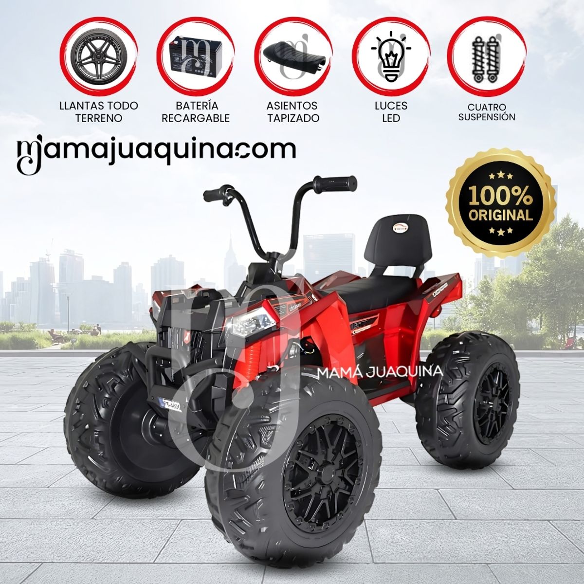 BEAUTIFUL - Cuatrimoto a Batería «UTV HOLLICY» 24V con MP3 Red