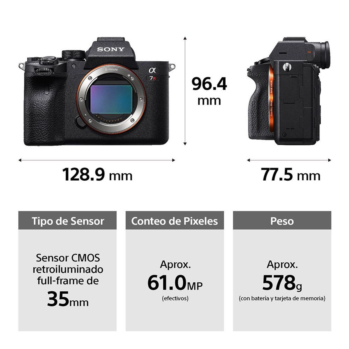 SONY - Sony Cámara Profesional Alpha Mirrorless Ilce-7RM4A