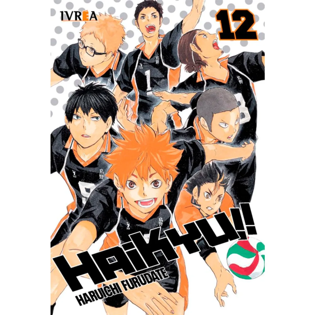 IVREA - Manga Haikyu!! Tomo 12