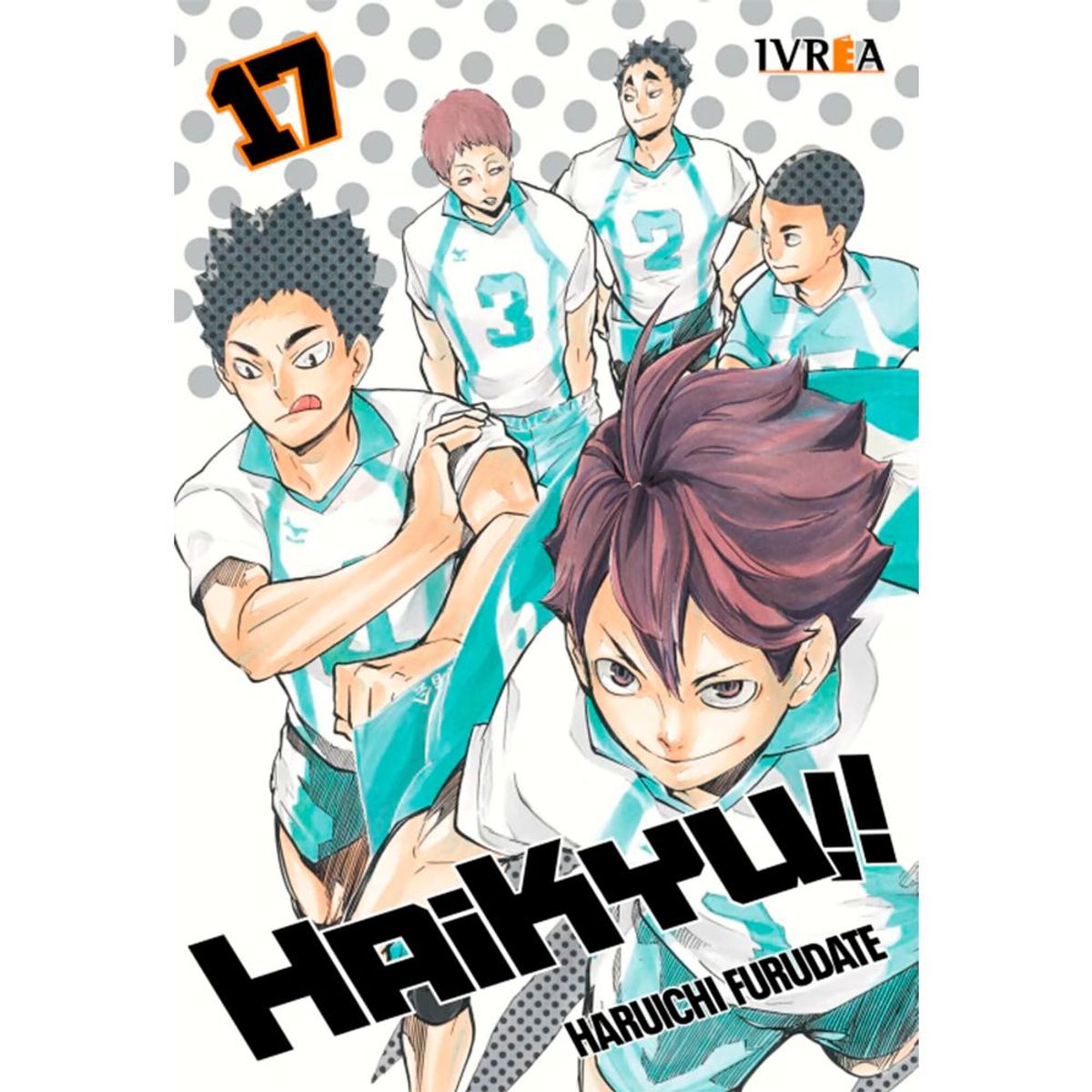 IVREA - Manga Haikyu!! Tomo 17