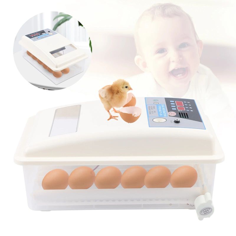GENERICO - INCUBADORA AUTOMÁTICA 24 HUEVOS DUAL 220V-12V JERSIMPORT