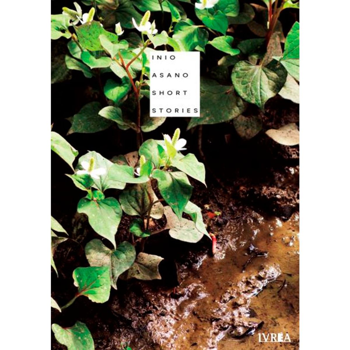 IVREA - Manga Inio Asano: Short Stories Tomo 1