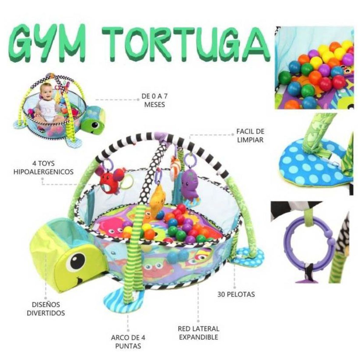 IDEAL - Gimnasio de Bebe Didáctico 3 en 1 TORTUGA
