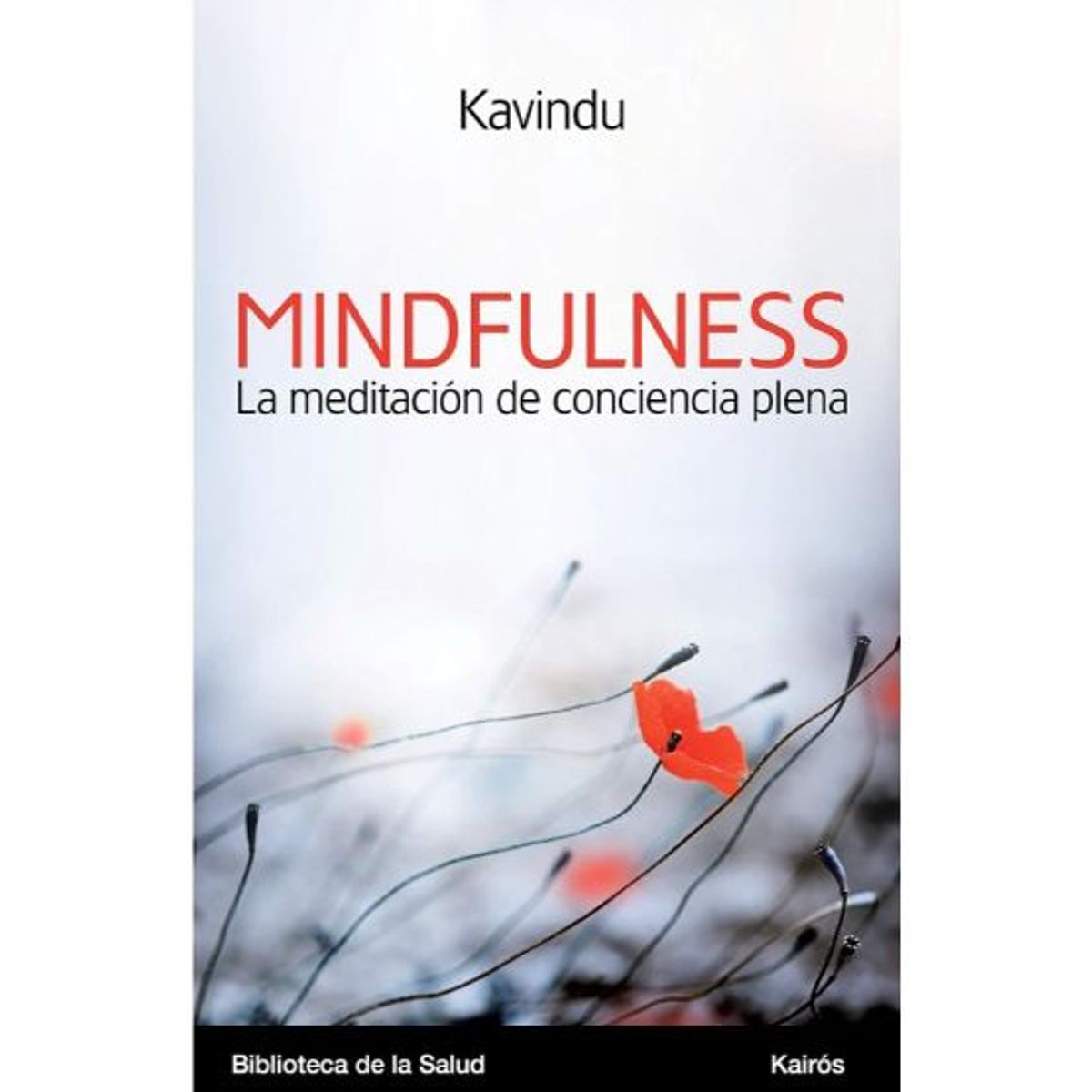 KAIROS - LA MEDITACION DE MINDFULNESS