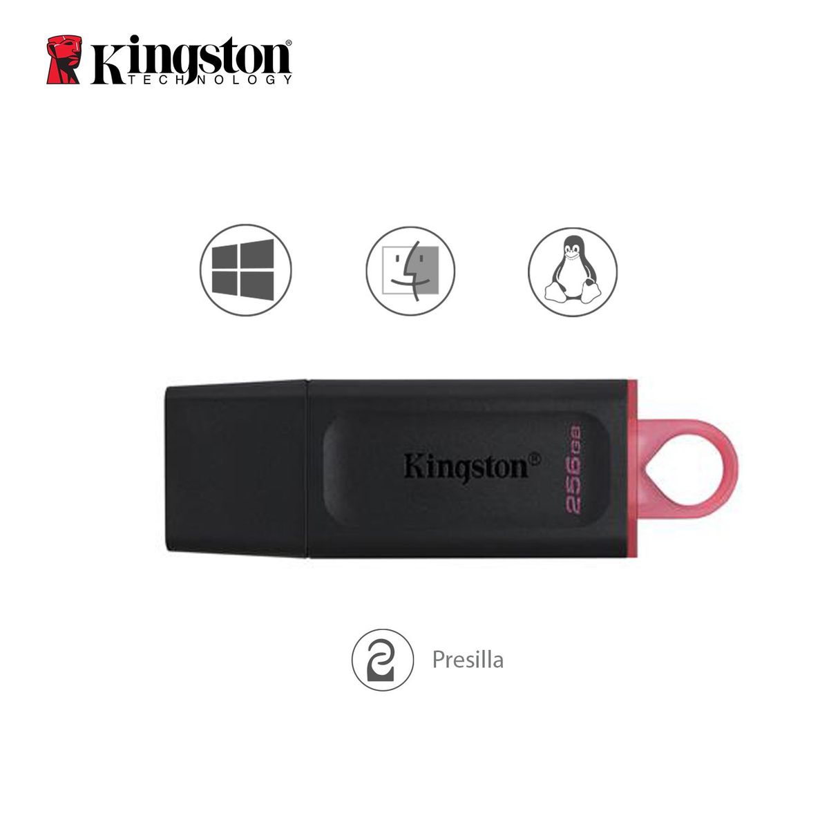 KINGSTON - Memoria USB Kingston DTX 256 GB