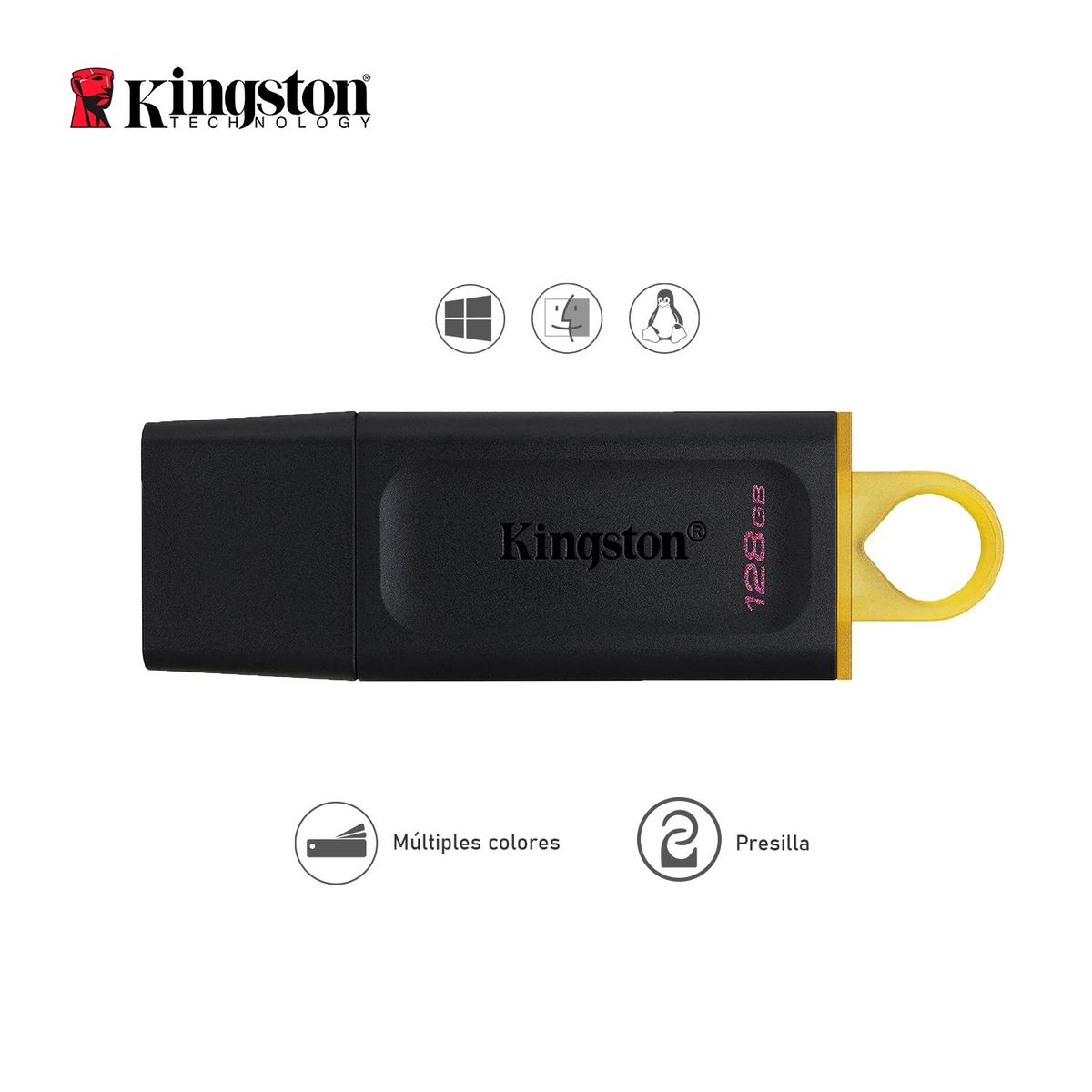 KINGSTON - Memoria USB Kingston DTX 128 GB
