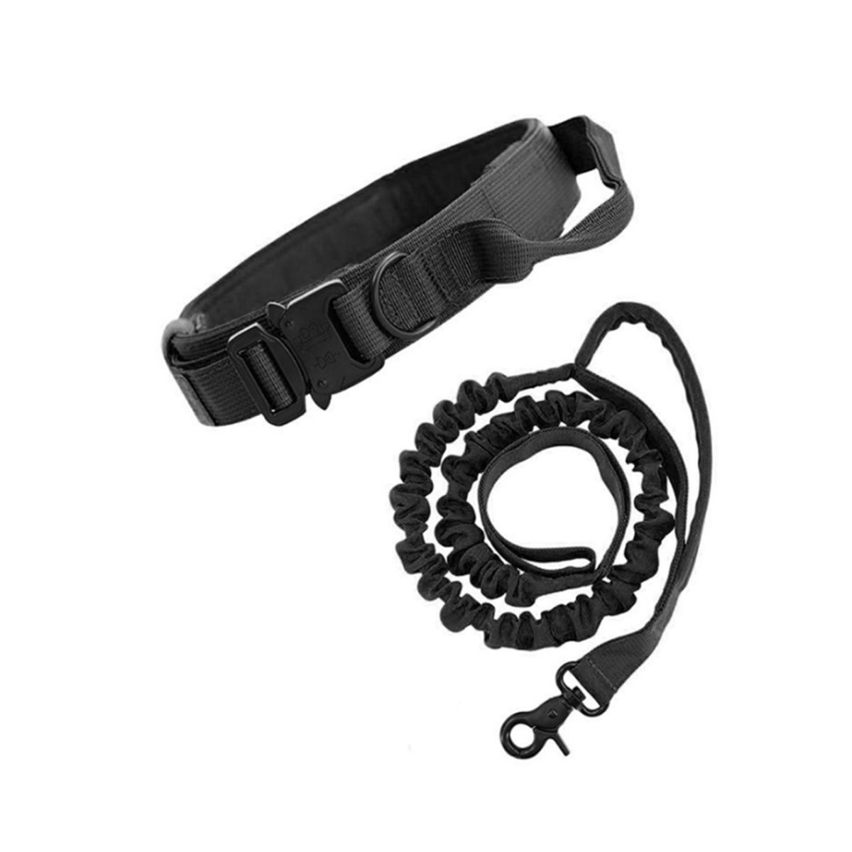 GENERICO - Collar ajustable + correa  para perro  Negro  Talla M