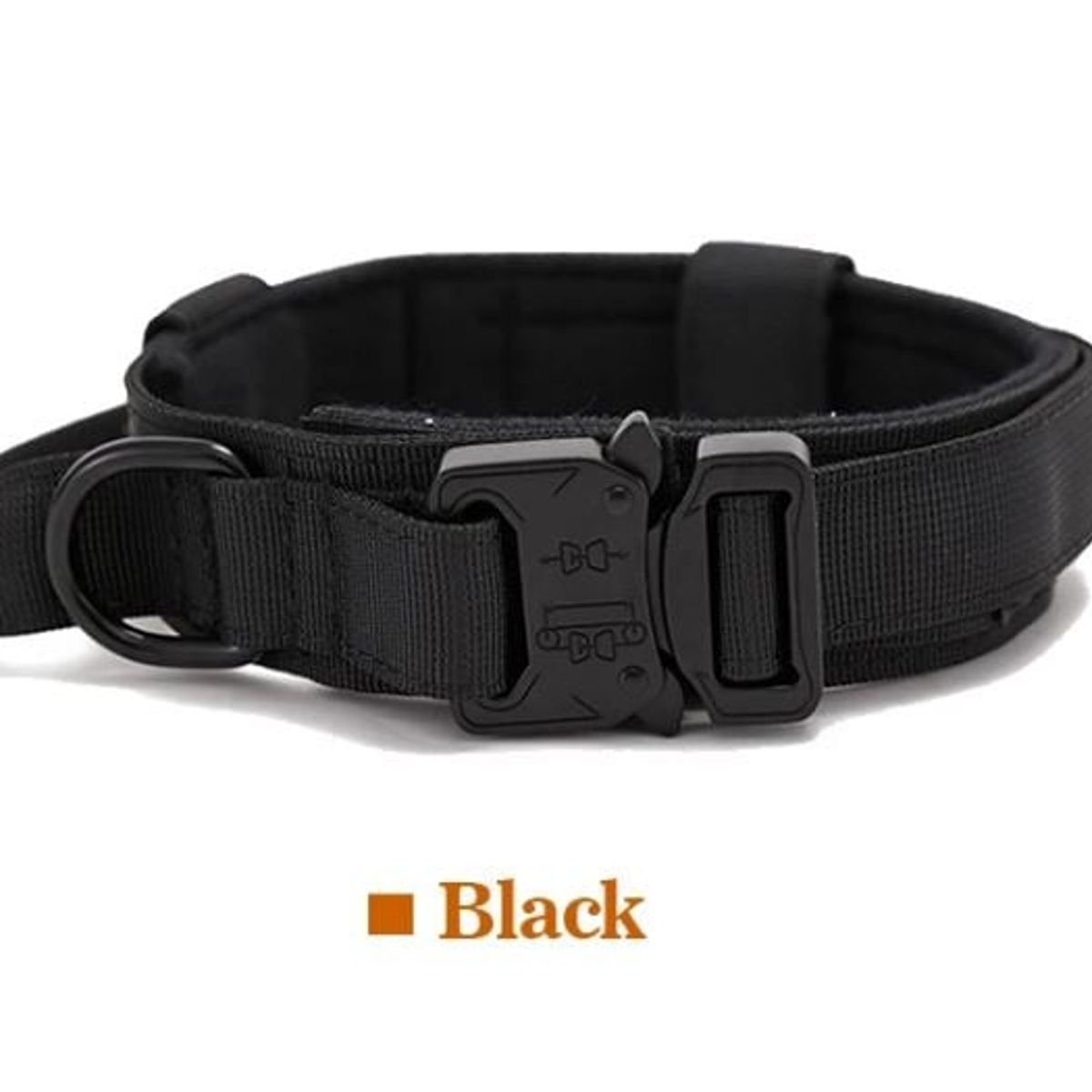 GENERICO - Collar ajustable + correa  para perro  Negro  Talla M