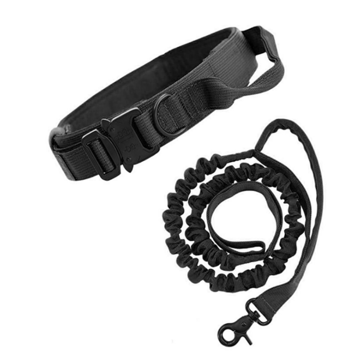 GENERICO - Collar ajustable + correa  para perro  Negro  Talla L