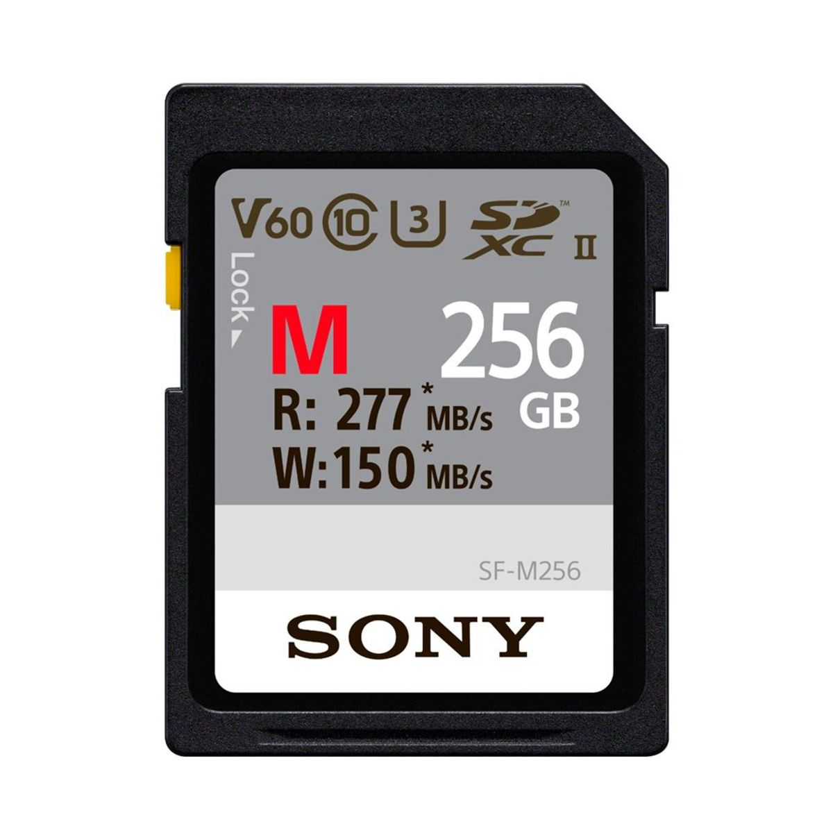 SONY - Sony Tarjeta de memoria SF-M256