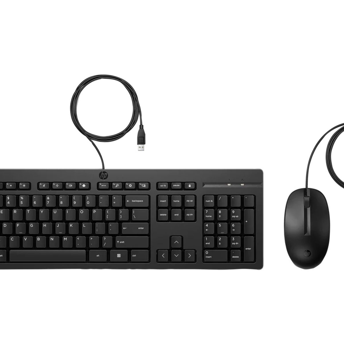 HP - Teclado & Mouse HP 225 USB (AX2Y7AA)
