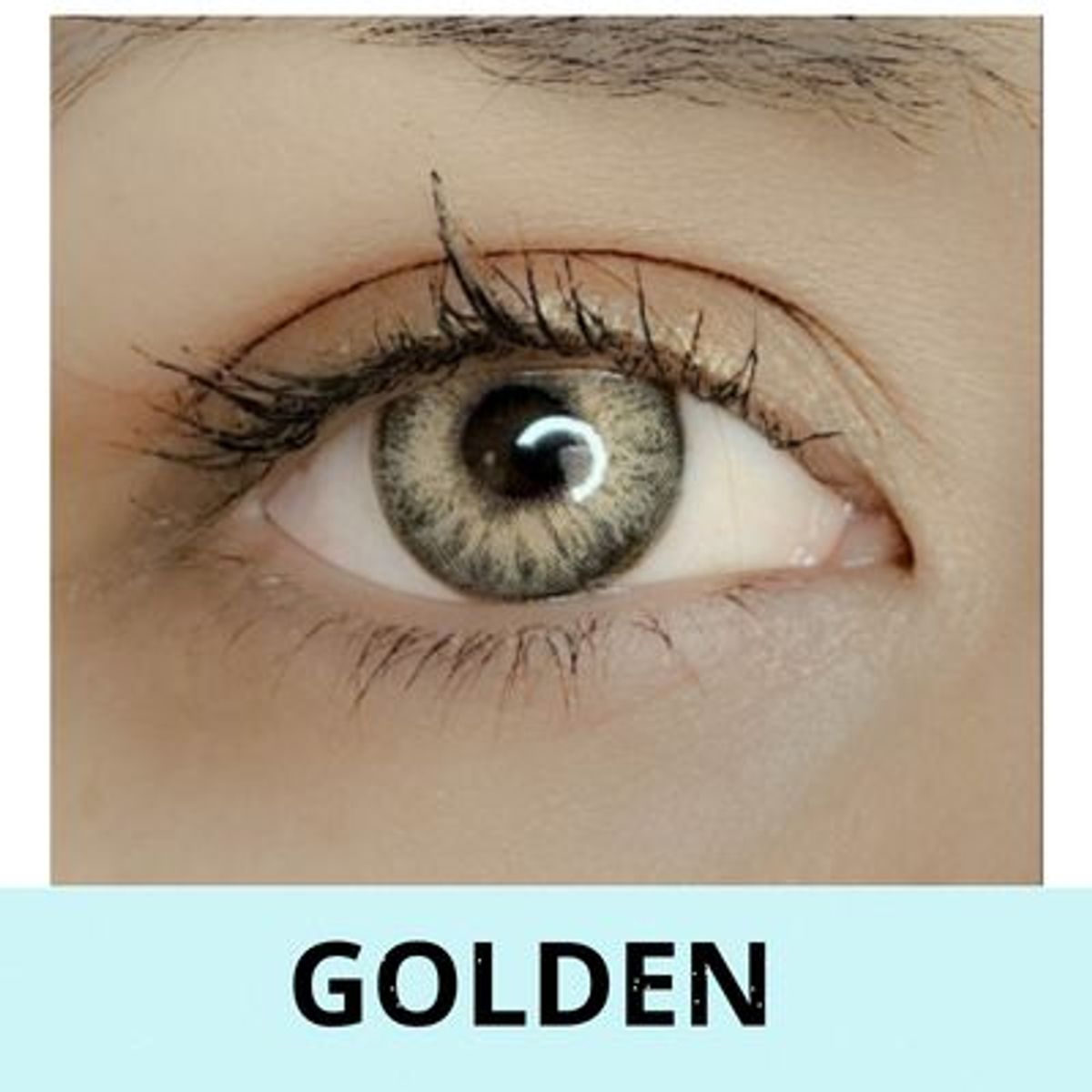 GENERICO - Golden - lentes de contacto