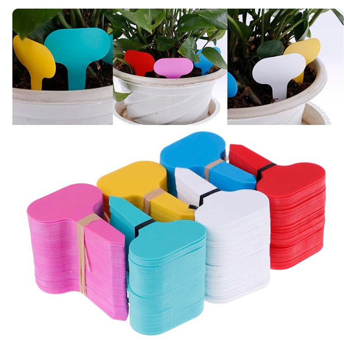 GENERICO - ETIQUETA DE CLASIFICACION DE PLANTAS DE JARDINERIA X200 UNIDADES