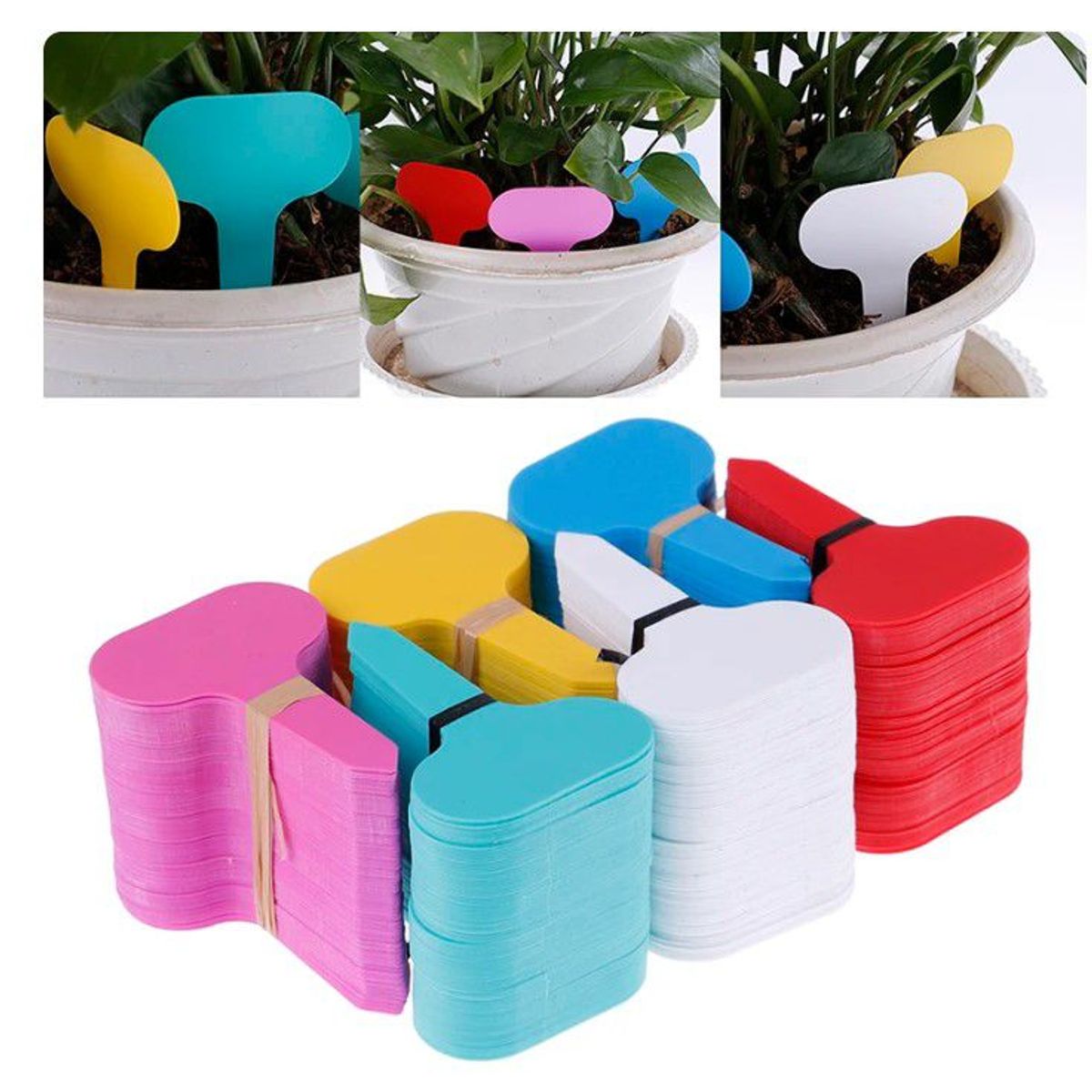 GENERICO - ETIQUETA DE CLASIFICACION DE PLANTAS DE JARDINERIA X200 UNIDADES