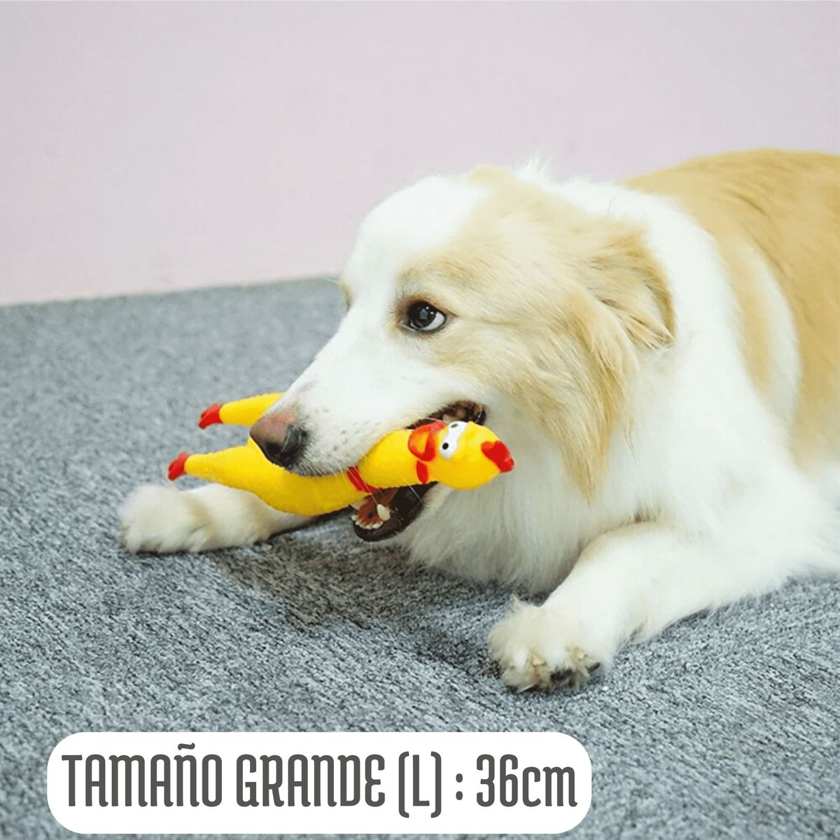 GENERICO - POLLO CHILLON GRANDE-TALLA L JUGUETE PERROS