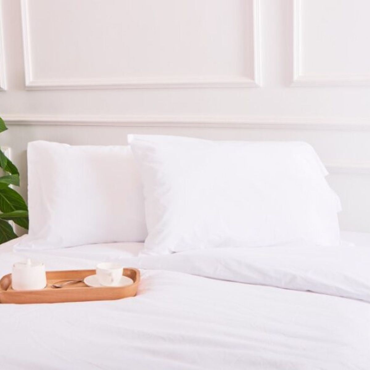 SUIT THE BED - EDREDÓN REVERSIBLE DE ALGODÓN - 150 HILOS - KING - BLANCO