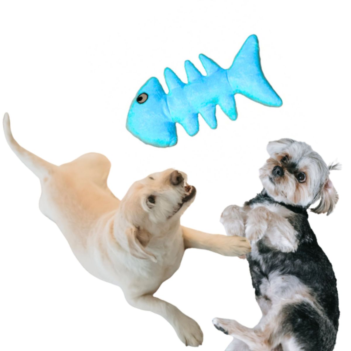 GENERICO - JUGUETE PARA MASCOTA - PEZ DE PELUCHE SONORO - TURQUESA