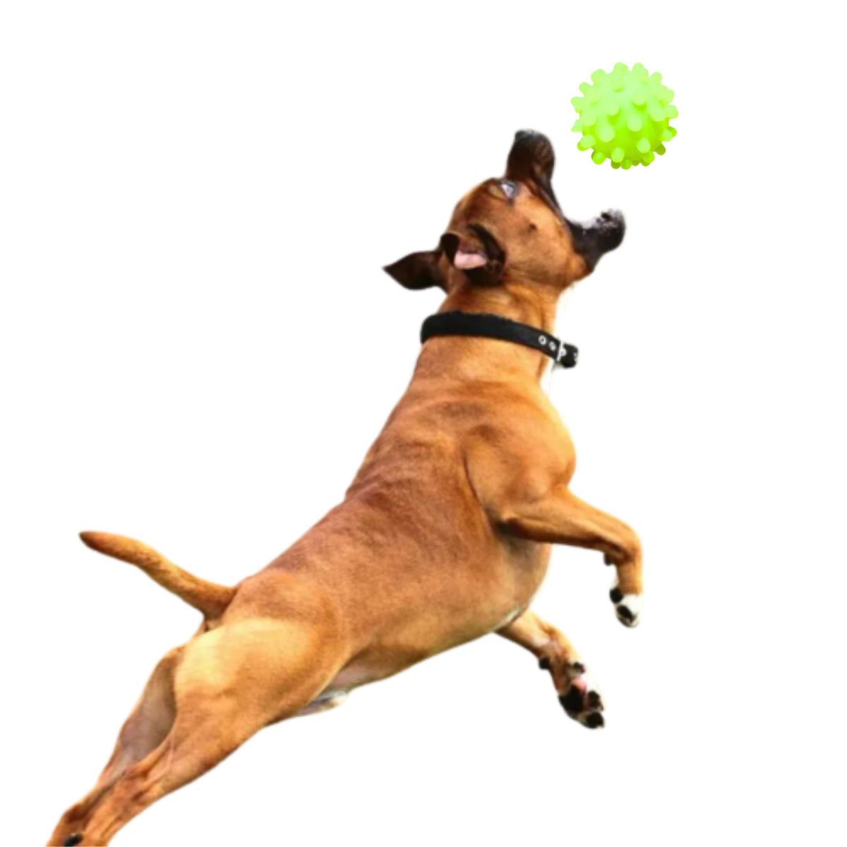 GENERICO - PELOTA CON PUAS PARA MASCOTA AMARILLO