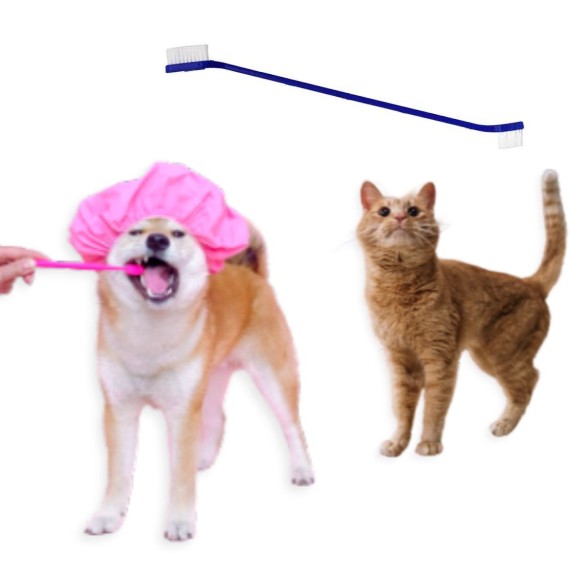 GENERICO - CEPILLO DENTAL MASCOTA PERRO-GATO PACK 8