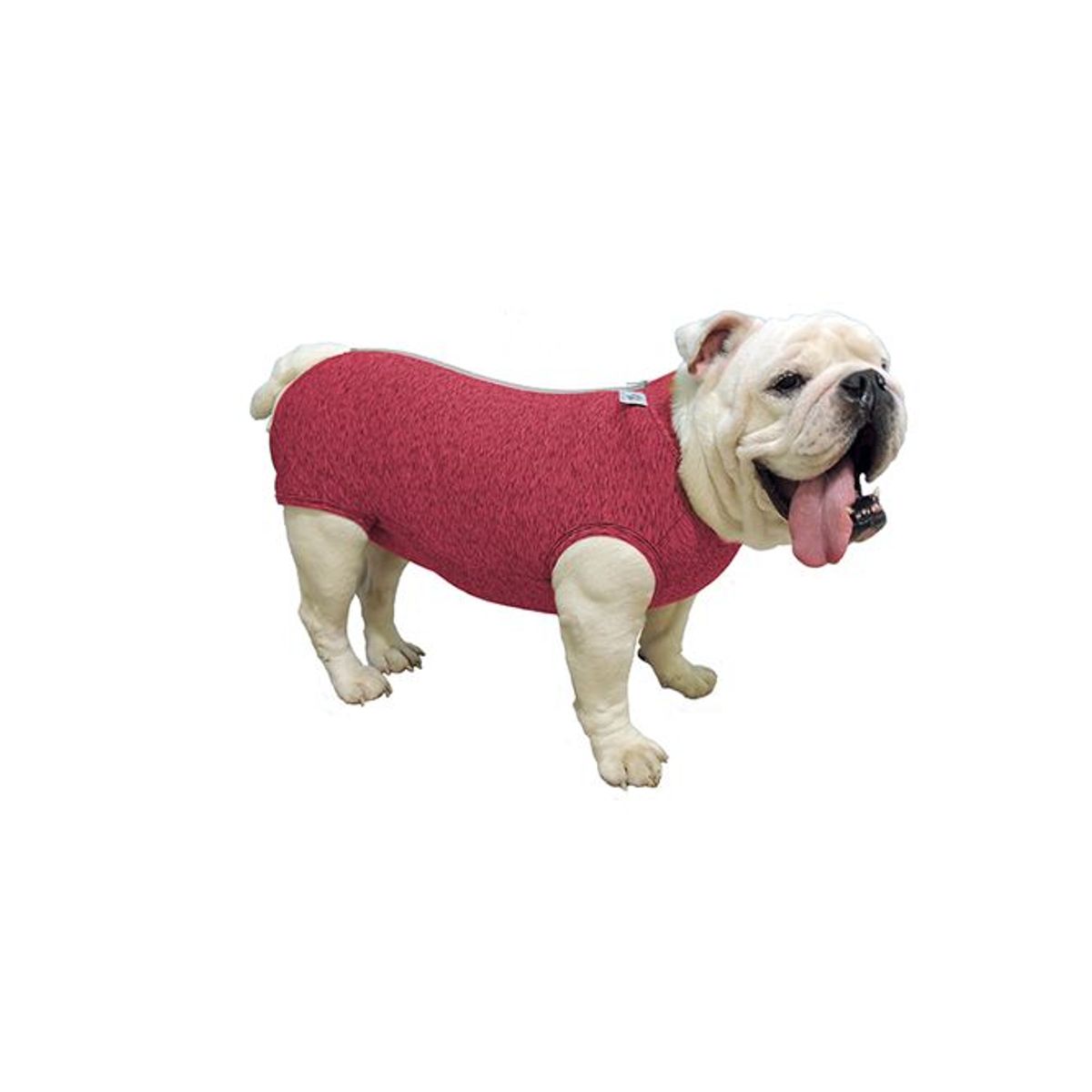 GENERICO - Faja Post Operatoria para mascota Talla 2 Hembra