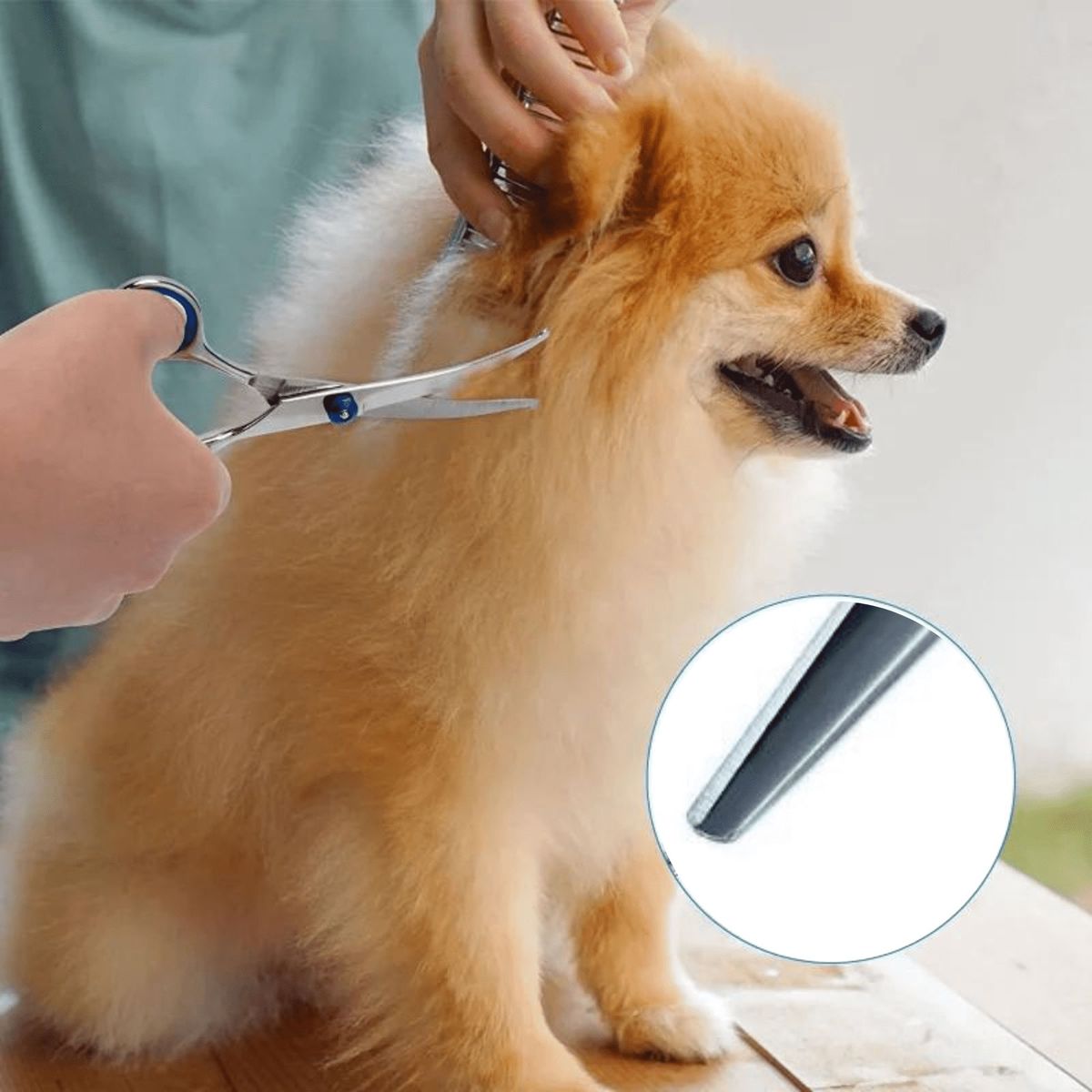 GENERICO - TIJERAS CURVAS CANINA - MASCOTA