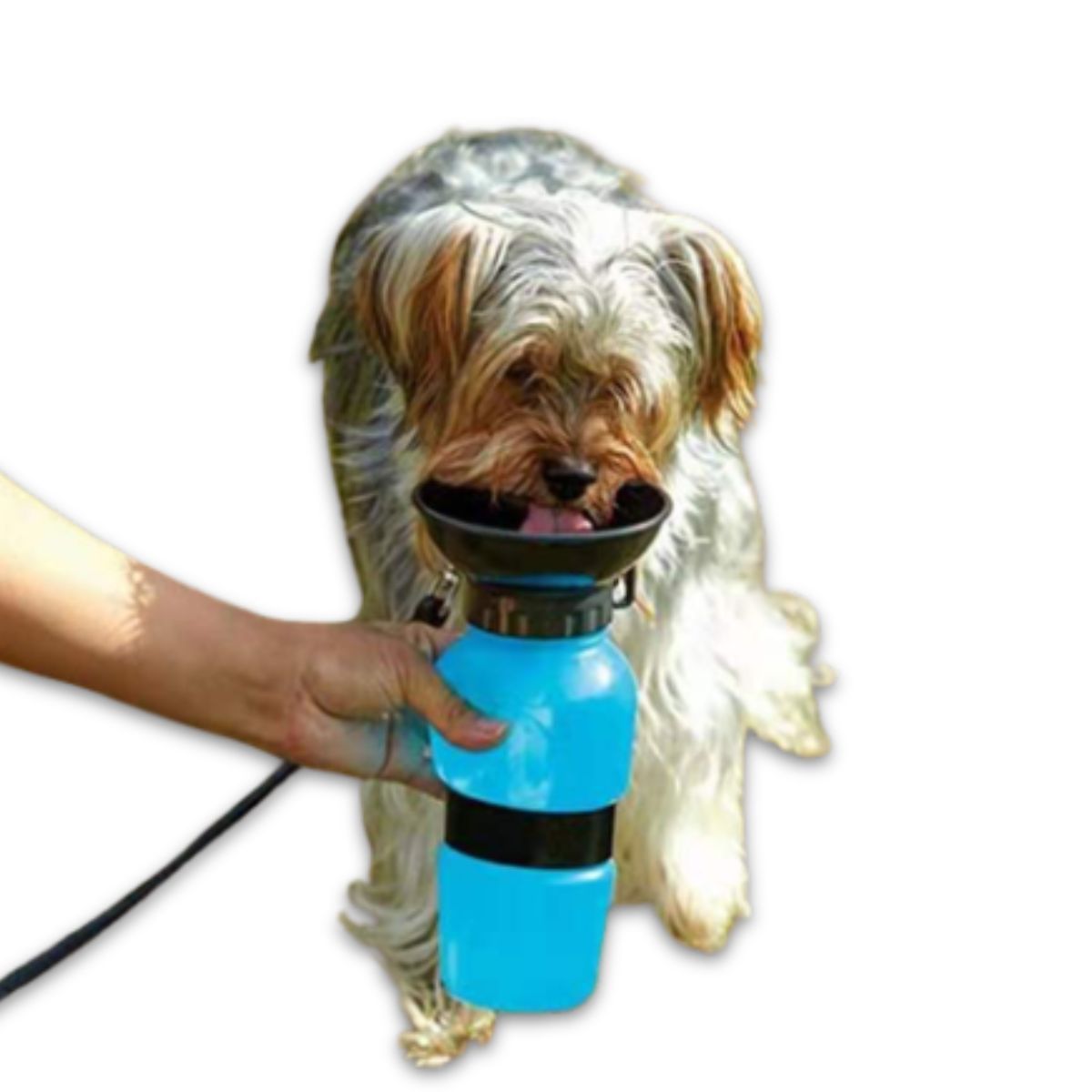 GENERICO - BOTELLA PORTATIL PARA MASCOTAS COLOR CELESTE