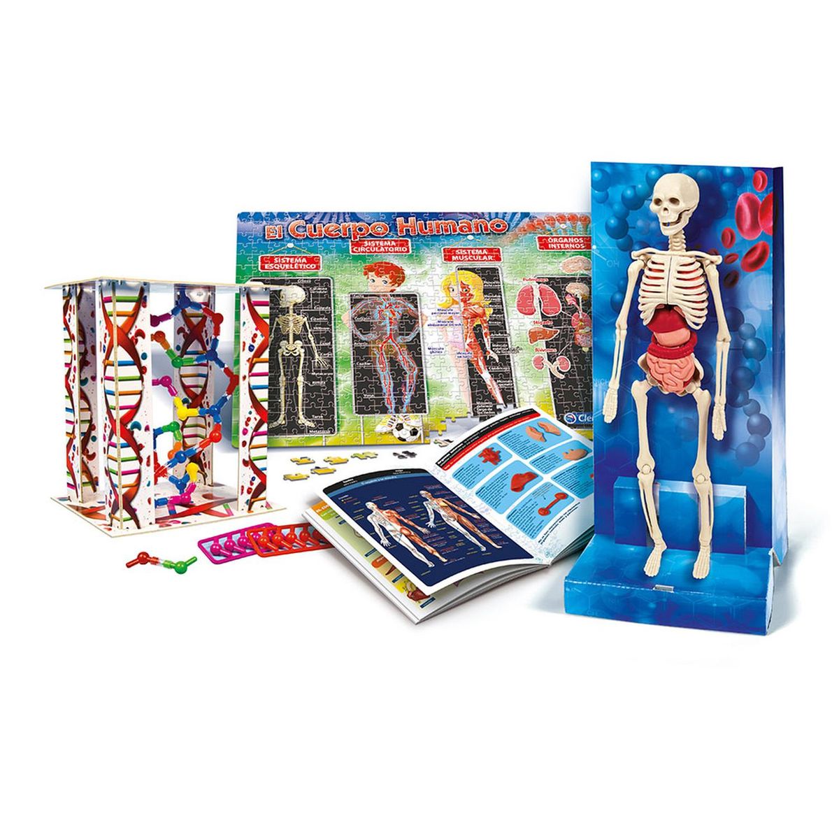 CLEMENTONI - EL CUERPO HUMANO